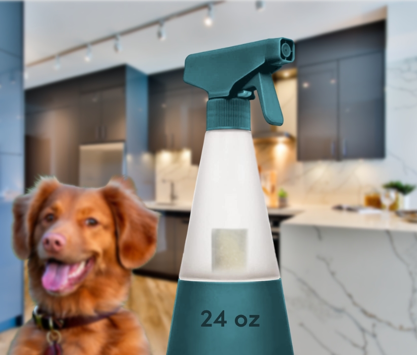 A dog standing in front of a kitchen with a spray bottle.